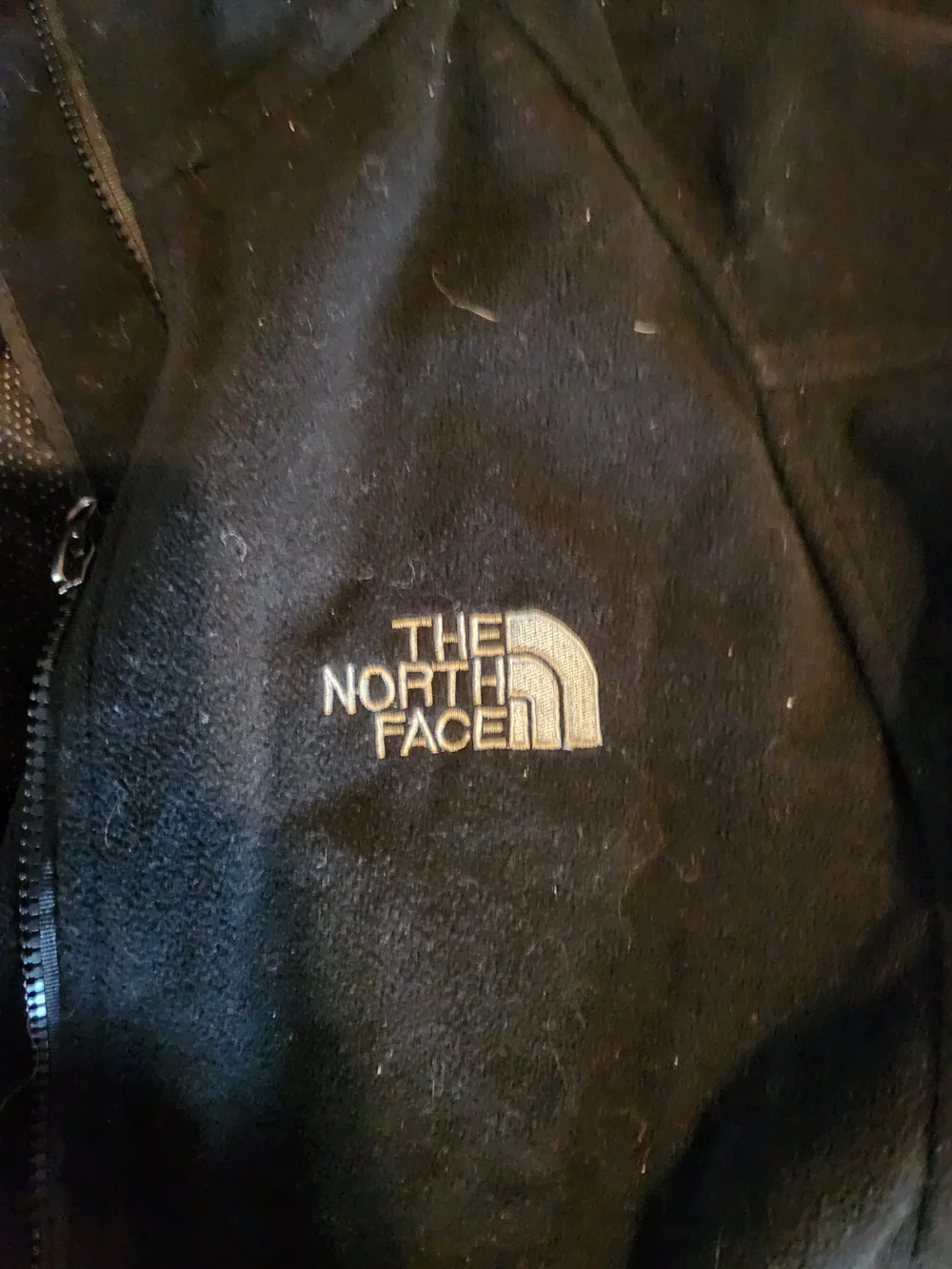 The North Face Men’s Black Fleece Jacket
